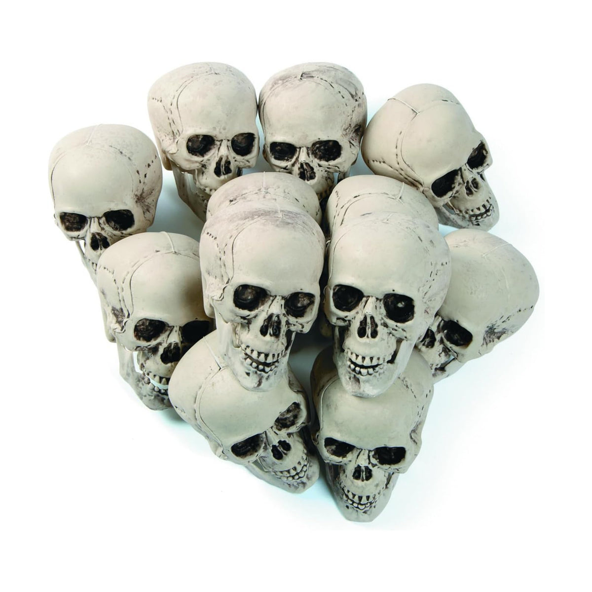 Fun Express White Plastic Realistic Skeleton Skulls, 5 Inch, 12 Pack
