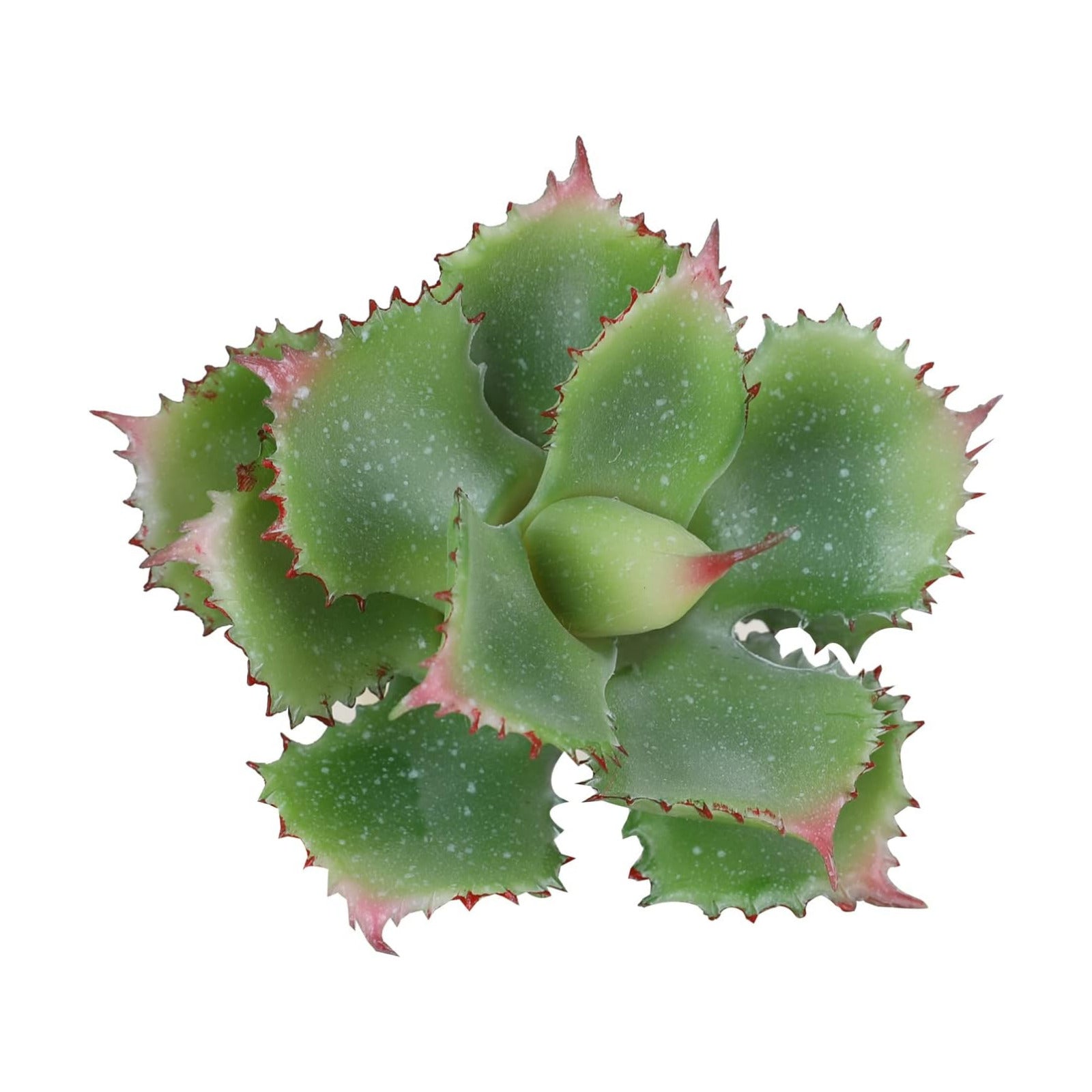 Artificial Succulent Plant Faux Succulents Agave potatorum Flower Arrangement / Green / 7.08 Inch