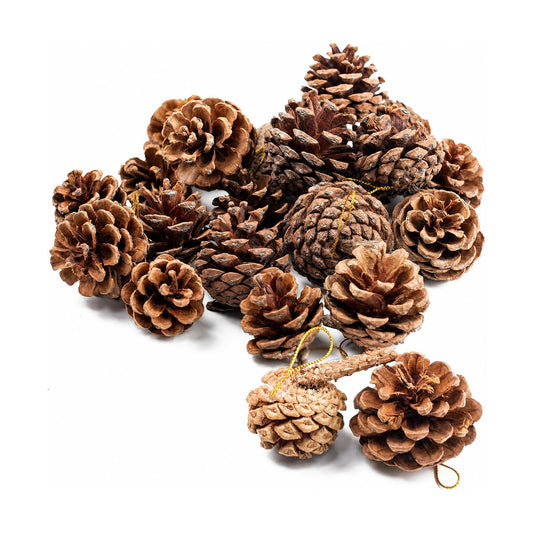 JOHOUSE 18 PCS Hanging Natural Pine Cones (1.5" - 2.5"), Rustic Pinecones