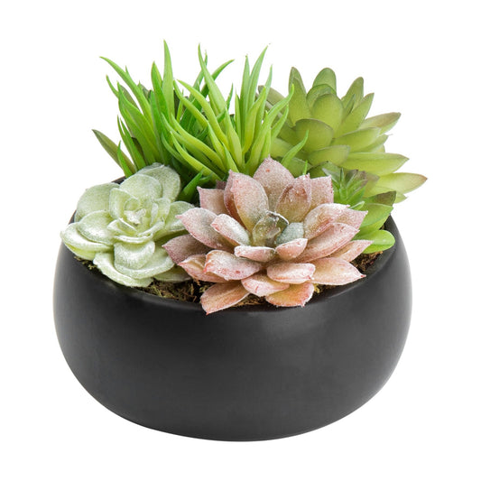 Fake Plant Arrangement in Ceramic Planter Bowl / Black