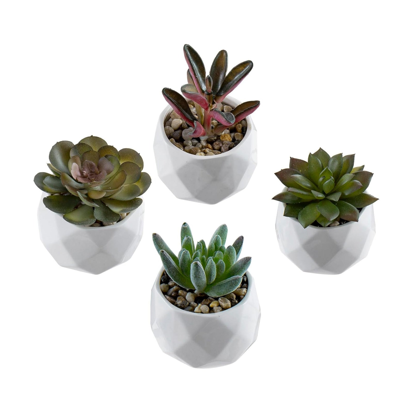 Indoor Fake House Plants in Round Geometric Ceramic Pots / White / Set of 4