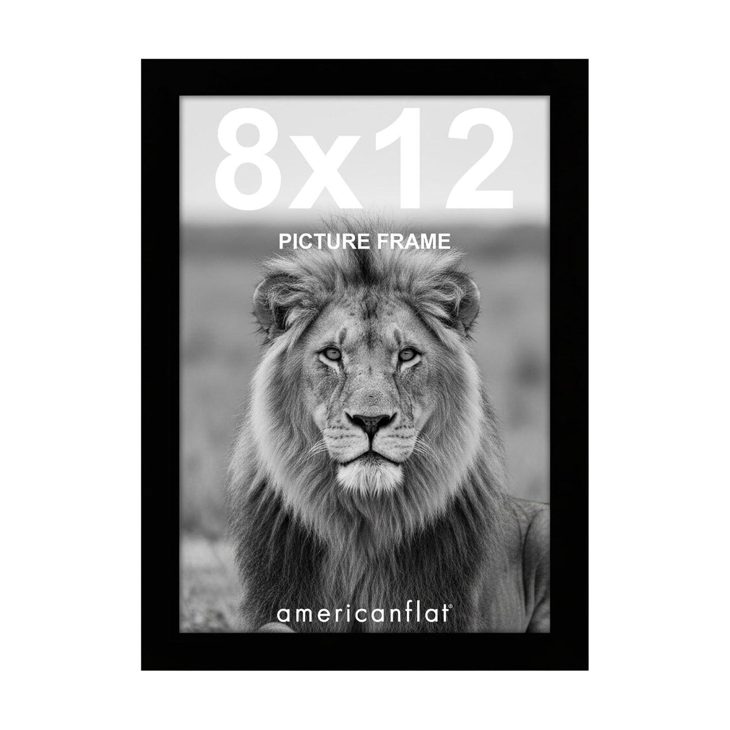 Picture Frame / Gallery-Style Frames Made / 8 x 12 / Black