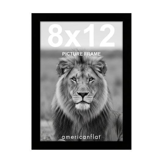 Picture Frame / Gallery-Style Frames Made / 8 x 12 / Black