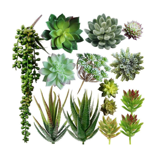 Winlyn Unpotted Fake Succulents Assorted Faux Succulent in Different Artificial / Green / Set of 6