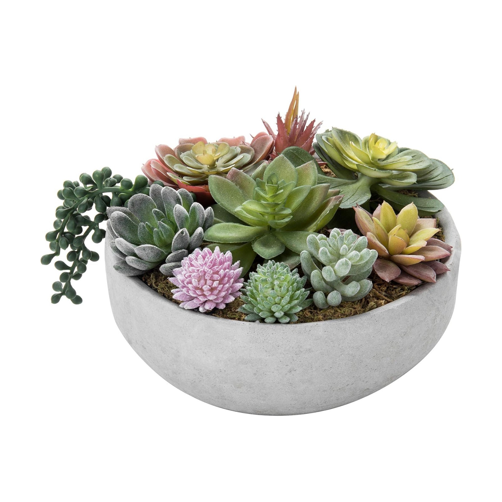 Round Modern Artificial Succulent Arrangement Potted in Gray Concrete Plant Bowl / Grey / 8 Inch