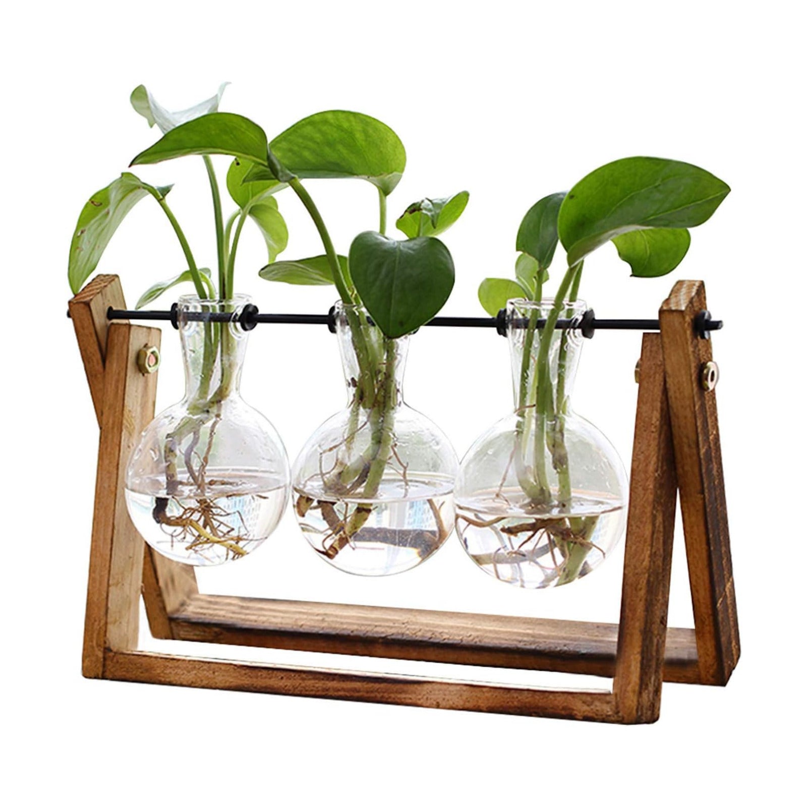 XXXFLOWER Plant Terrarium with Wooden Stand, Air Planter Bulb Glass Vase Metal Swivel Holder Retro Tabletop for
