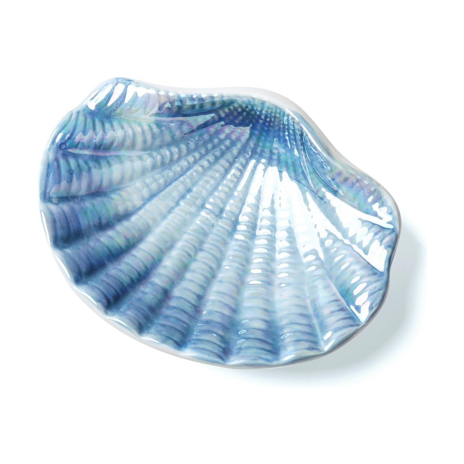 Ceramic Ocean Seashell Soap Dish / Blue