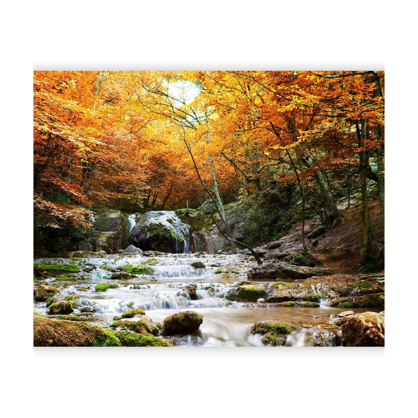 XXL Peel and Stick Self-Adhesive Wallpaper Removable Large / 96"wx76"h Self-adhesive / #01 / 96 x 76