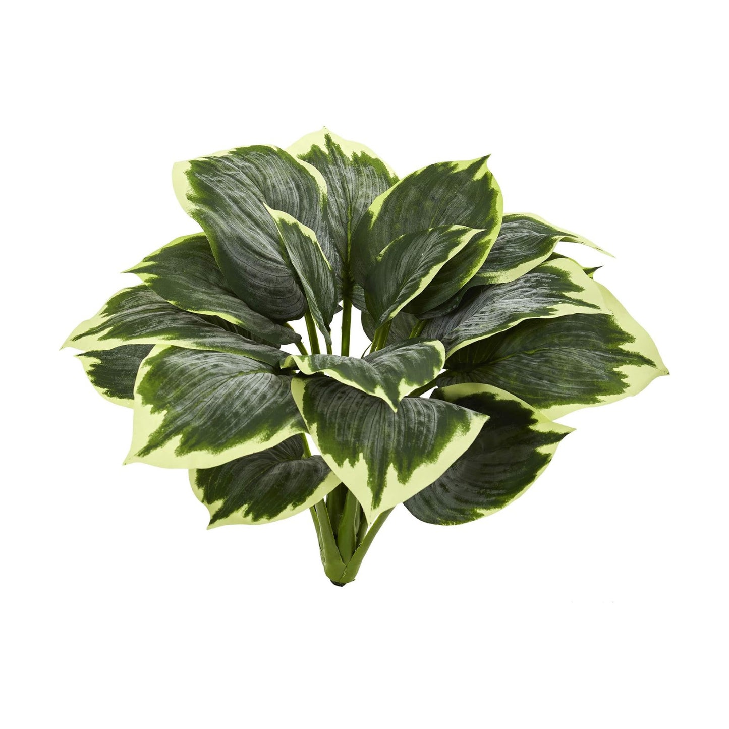 Variegated Hosta Artificial Plant / Set of 6