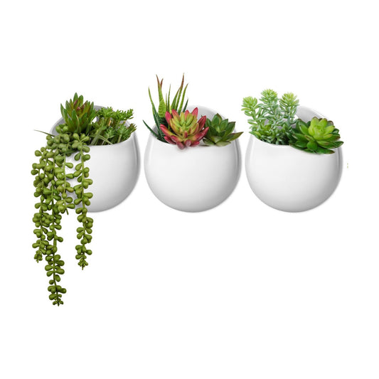 Artificial Plants / Wall Planter