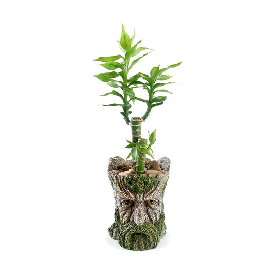 Funny Planter Head Planter with Drainage Hole Resin Plant Pot Pencil Holder Desk Storage(Mustache Man)