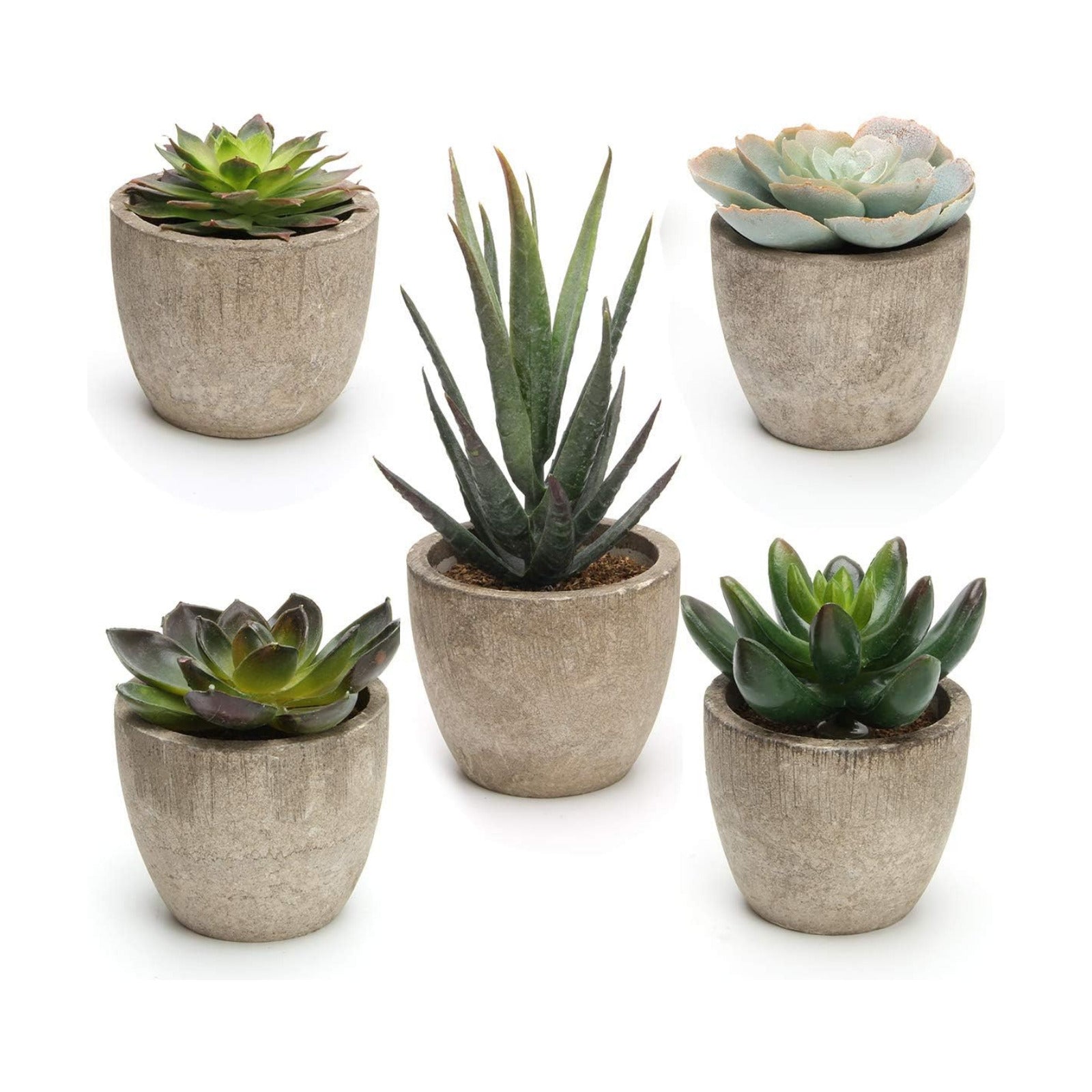 Artificial Succulent Plants Potted / Green