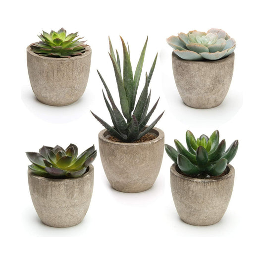 Artificial Succulent Plants Potted / Green