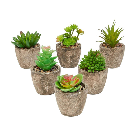 Maintenance-Free Artificial Plants