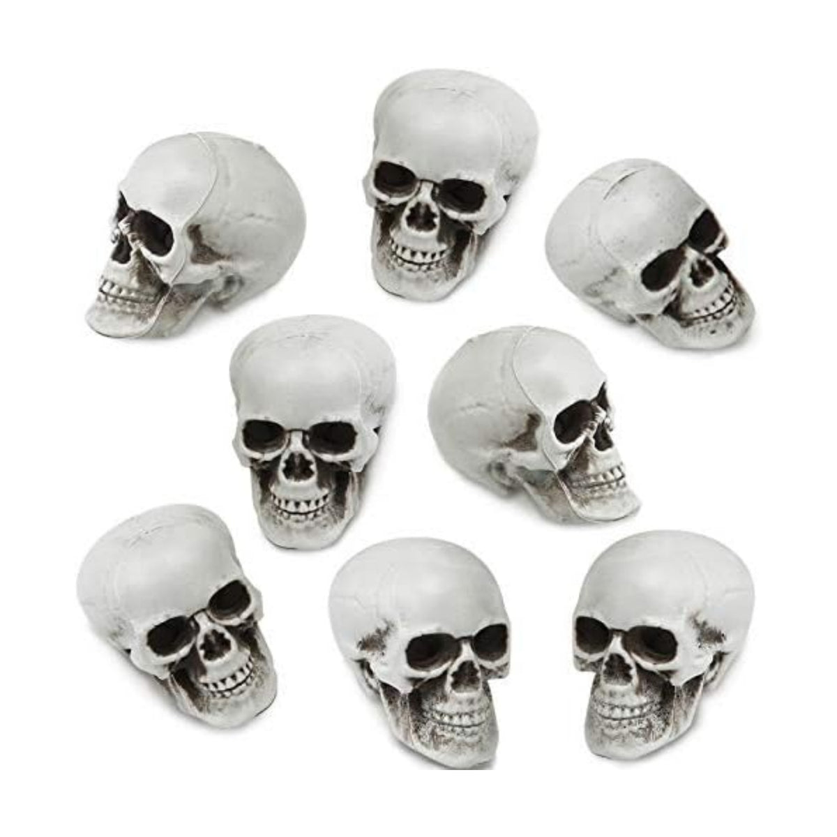 Boao 8 Pcs Halloween Small Skull Heads, 2.4 in Skeleton Skulls for Decor