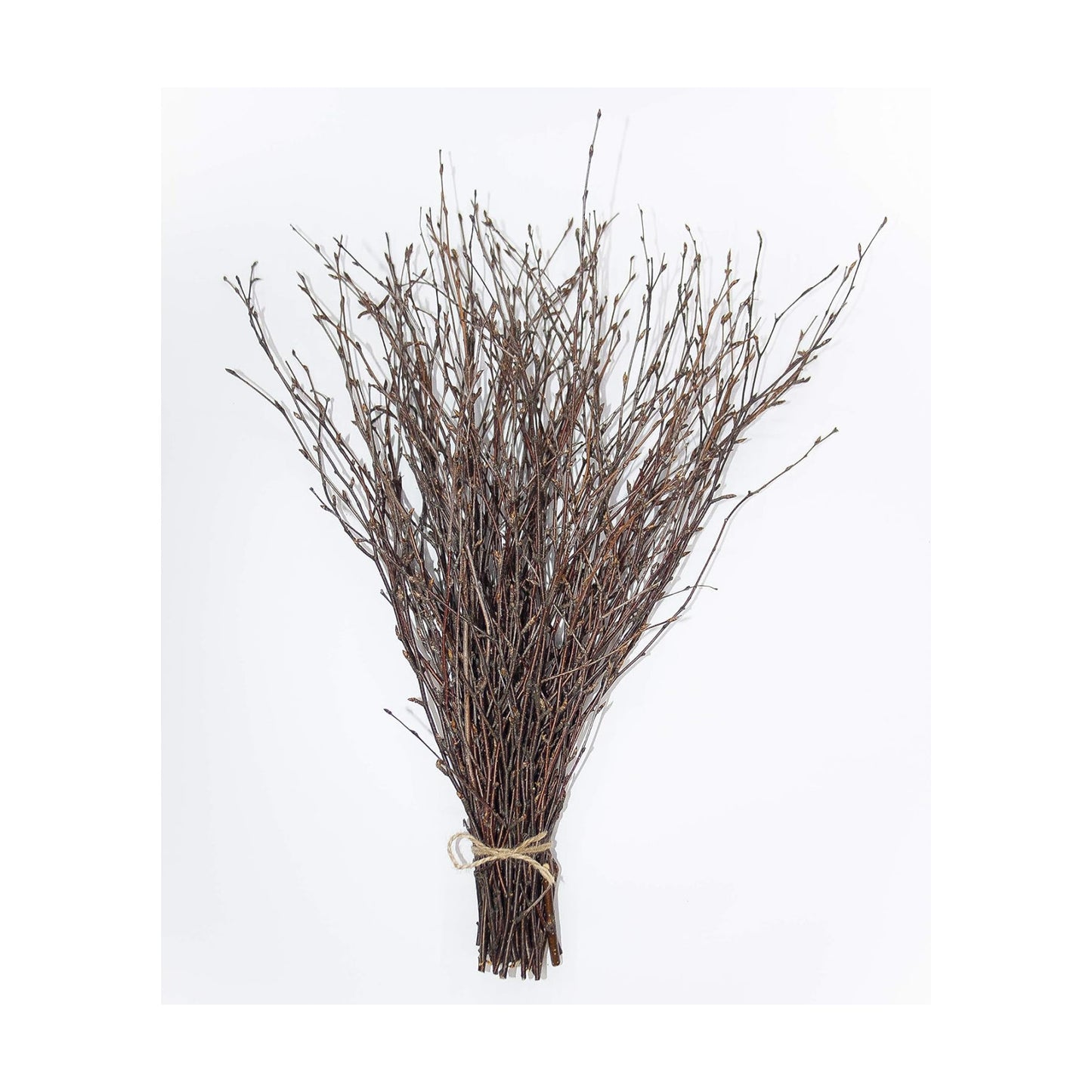 100% Natural Decorative Branches for Vases / 50 Psc - Brown