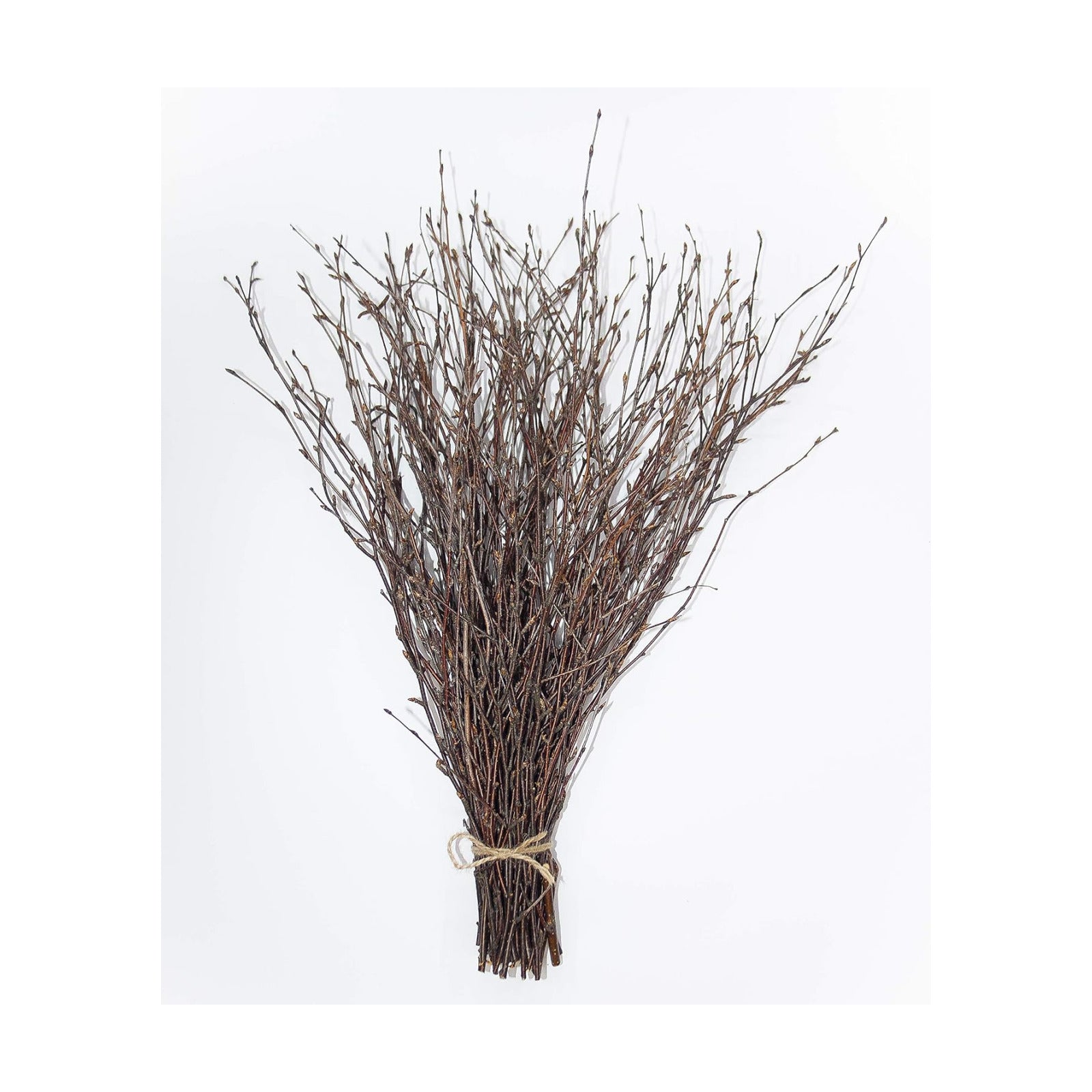 100% Natural Decorative Branches for Vases / 50 Psc - Brown