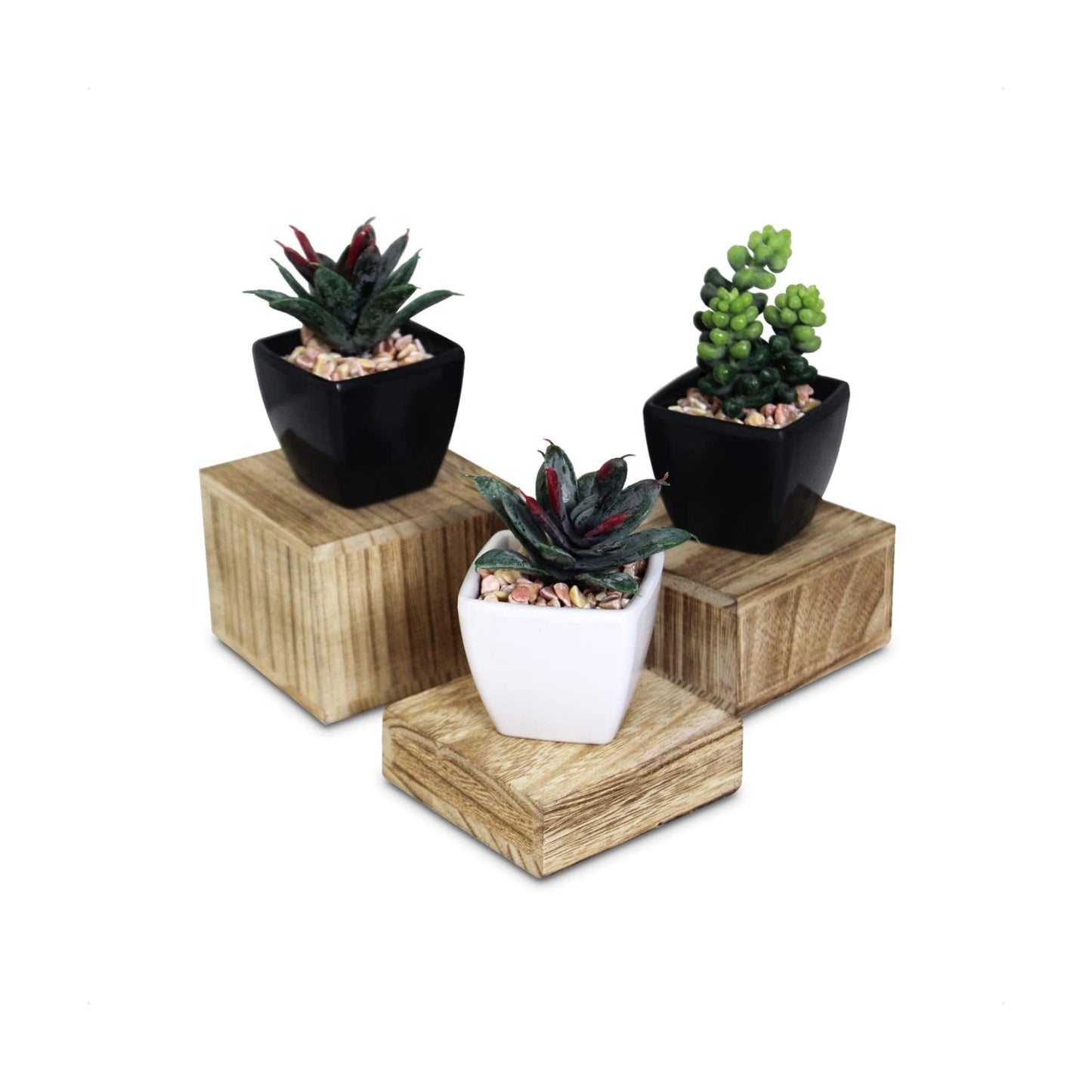 Wood Display Stand / Oak
