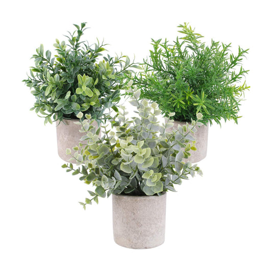 Mini Artificial Potted Plants Faux Eucalyptus Plants Boxwood Rosemary Greenery in Pots / Set of 3
