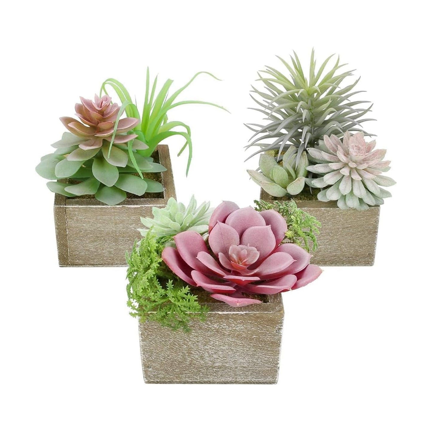 Succulent Plants Artificial / Symphony / Set of 3