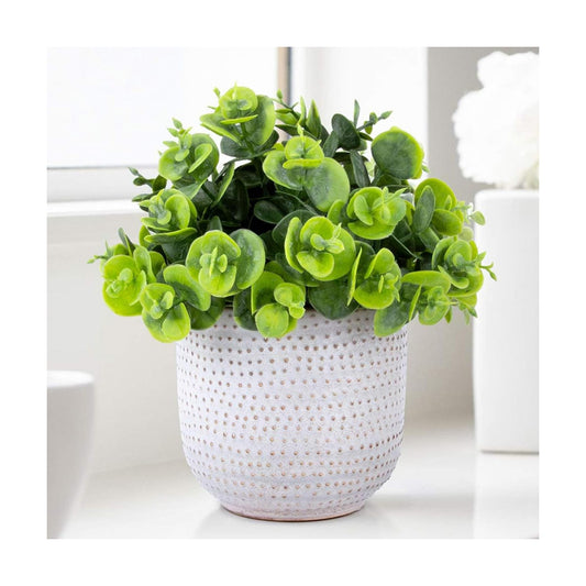 Artificial Plants in Ceramic Planter Lysimachia Fake Succulent Flowers Potted / Green