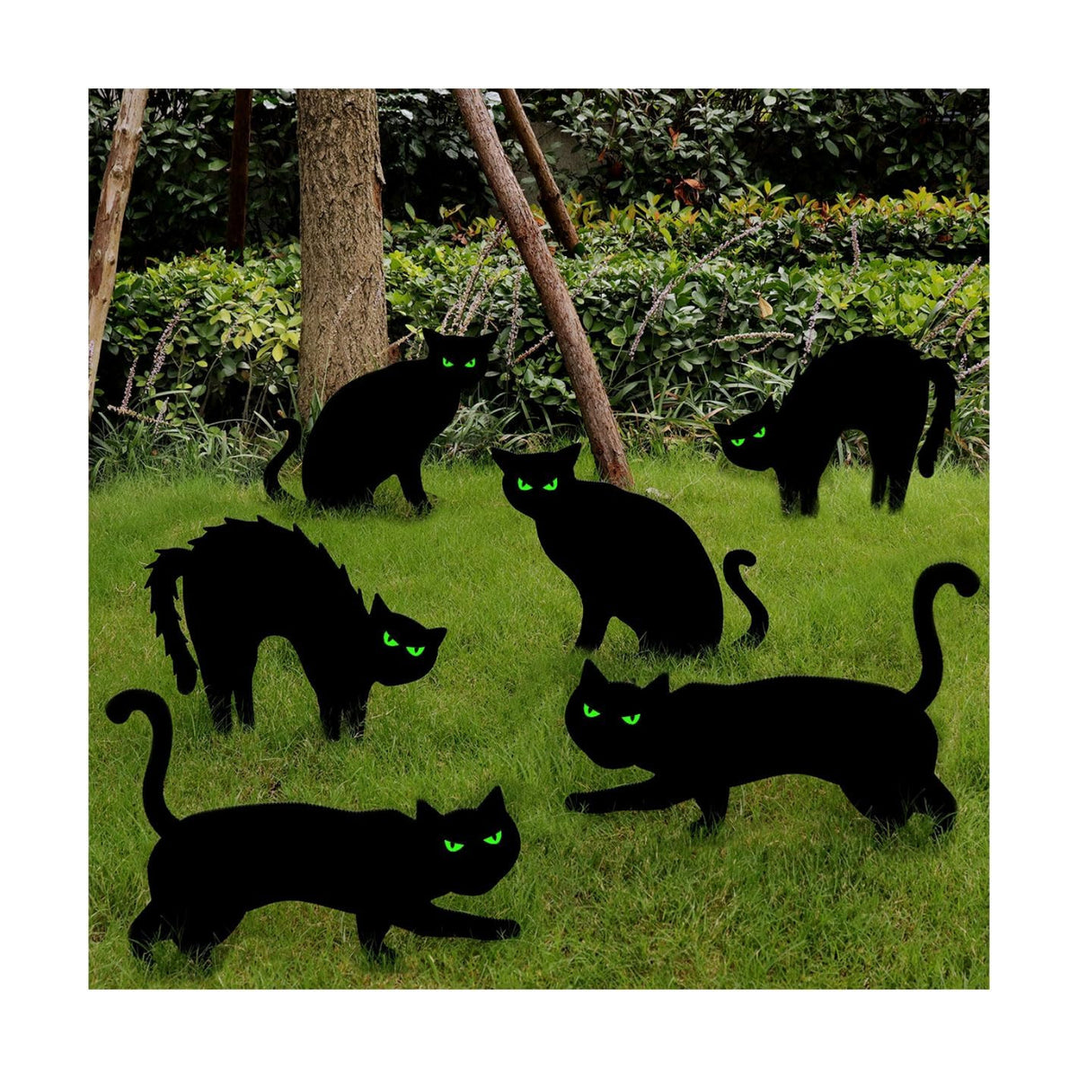 Halloween Decorations Outdoor, 6ct Black Cat Decor Yard Signs with Stakes, Scary Silhouette with Glow in Dark Eyes, Corrugated Plastic, Waterproof Lawn Decorations for Kids Family Home Party