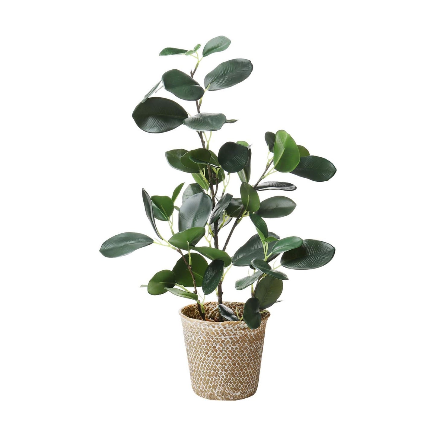 Artificial Ficus Tree Small Fake Plants in Weaved Pot 20" Height / Green