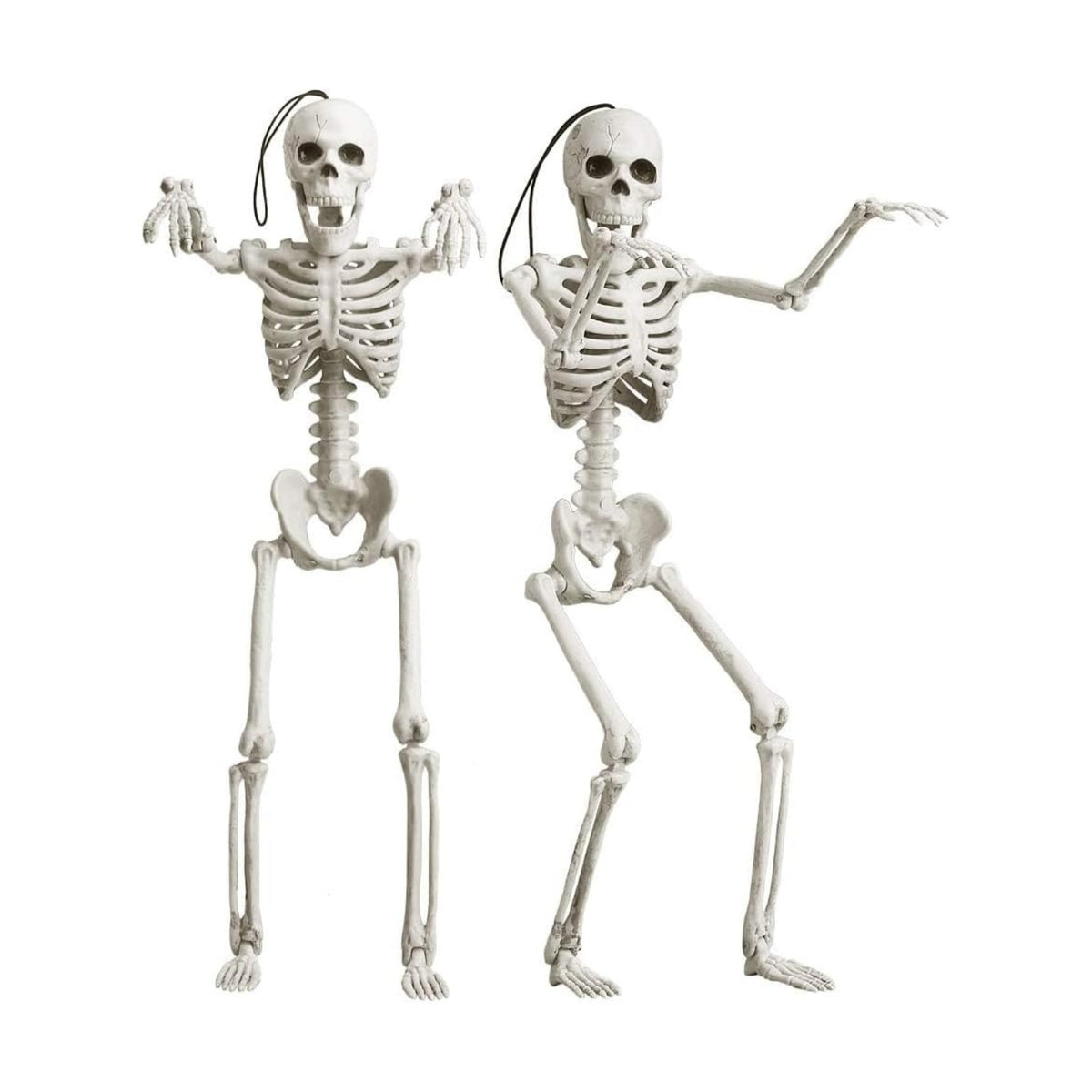 16" Poseable Small Skeleton for Halloween: Sturdy Joints Hold Pose Firmly