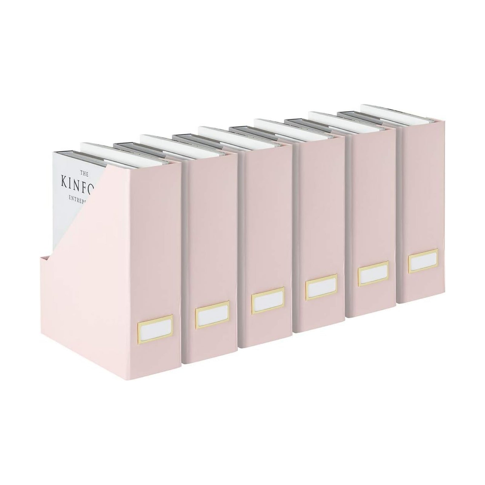 BLU MONACO | Cardboard Magazine File Holder Set of 6 Pink | Vertical Magazine File Holder with Gold Label Slots