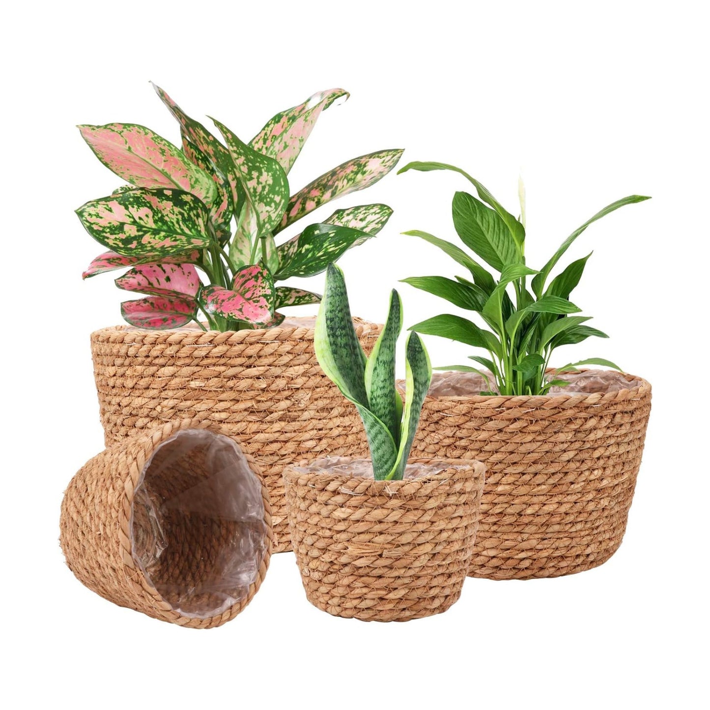 Seagrass Planter Basket Stylish Planter Baskets