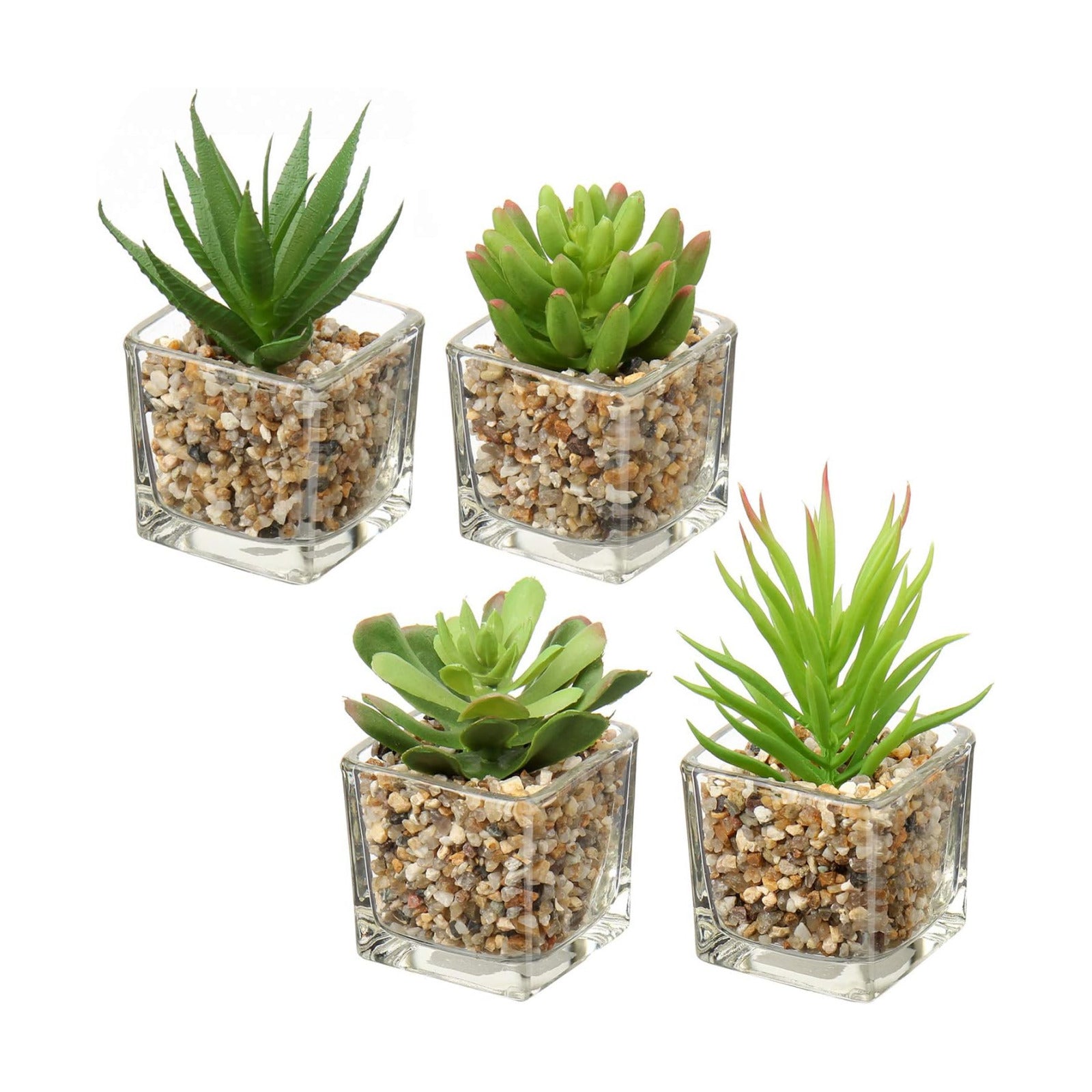 Succulents Plants Artificial in Glass Pots Small Fake Succulents / Succulents #03 / Clear / Set of 4