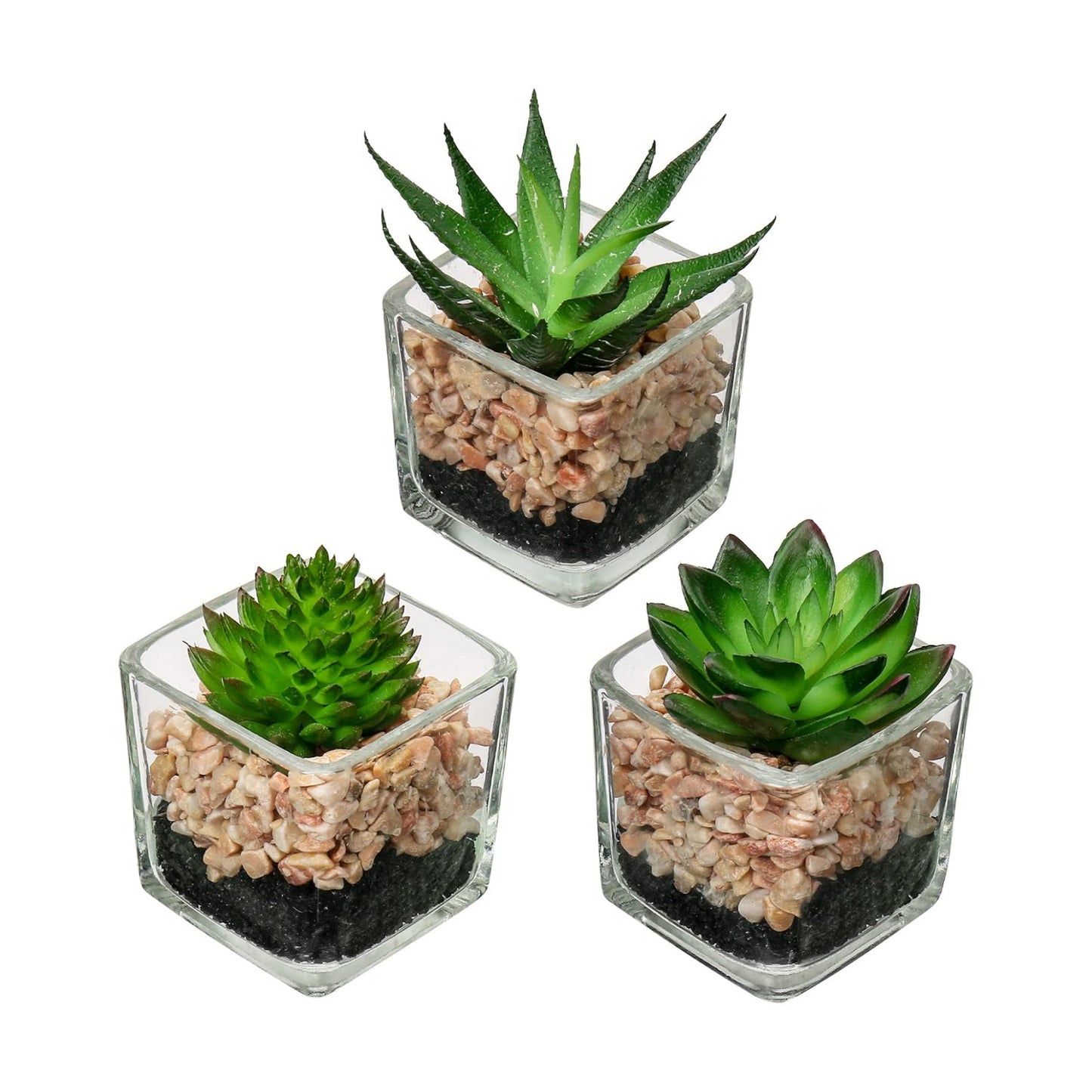 Succulents Plants Artificial in Glass Pots Small Fake Succulents Plants / Succulents #01 / Set of 3