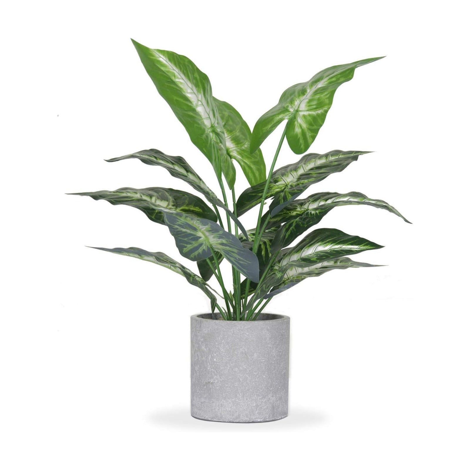Der Rose 16" Small Fake Plants Artificial Tropical Faux Plants Indoor