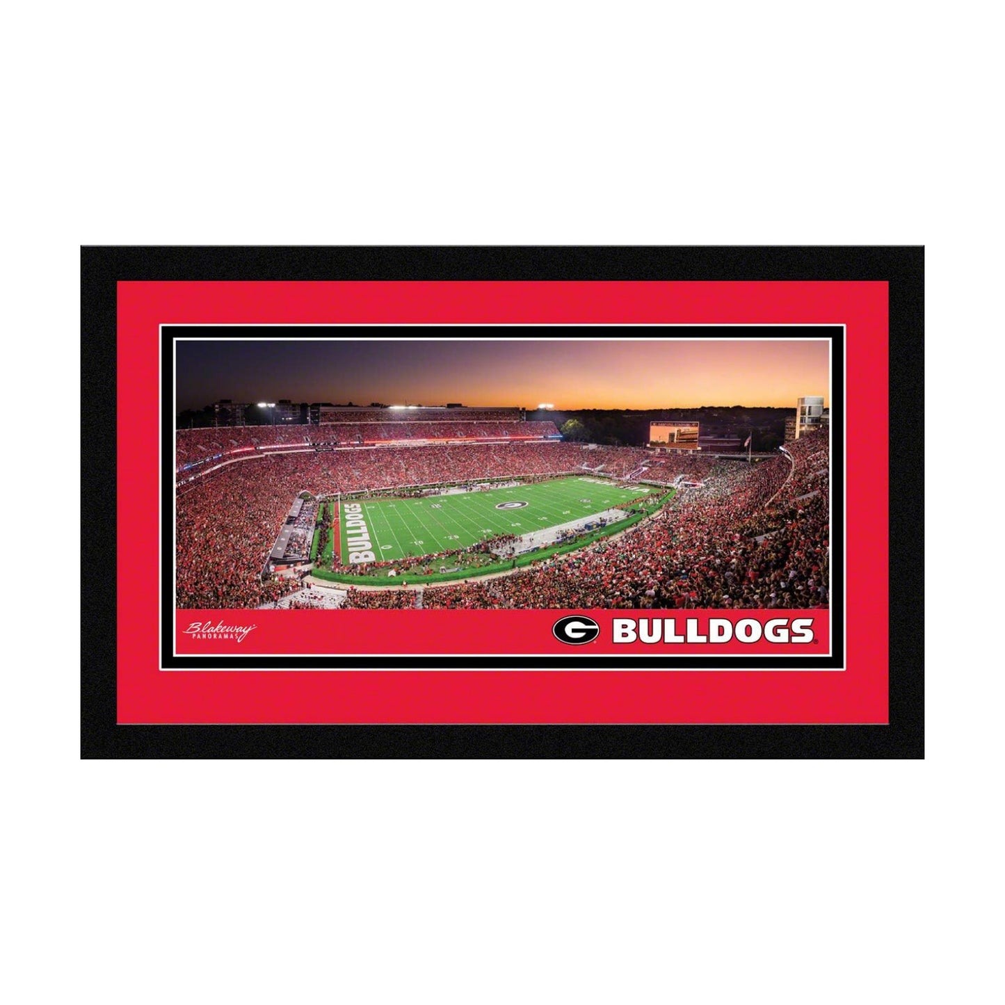 Framed Panoramic Picture / 8 x 12 / 20 3/ 3/8-inches