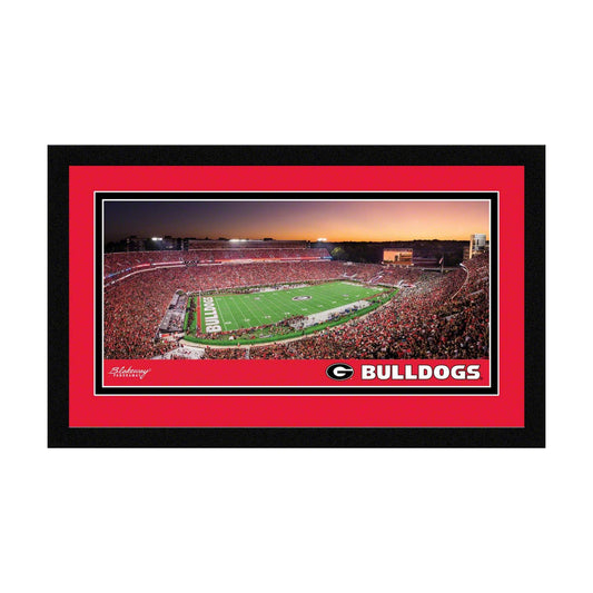 Framed Panoramic Picture / 8 x 12 / 20 3/ 3/8-inches