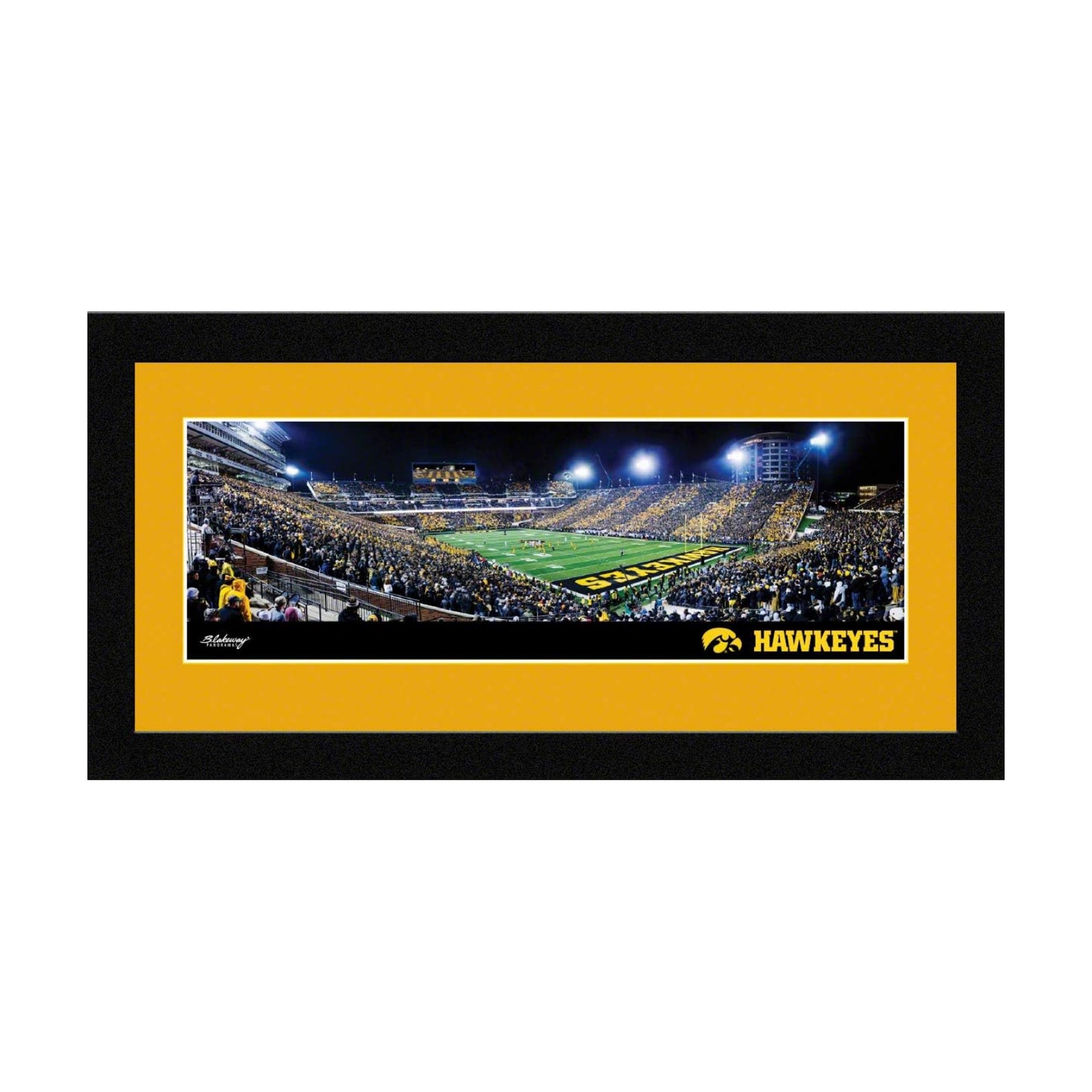 Framed Panoramic Picture / Yellow