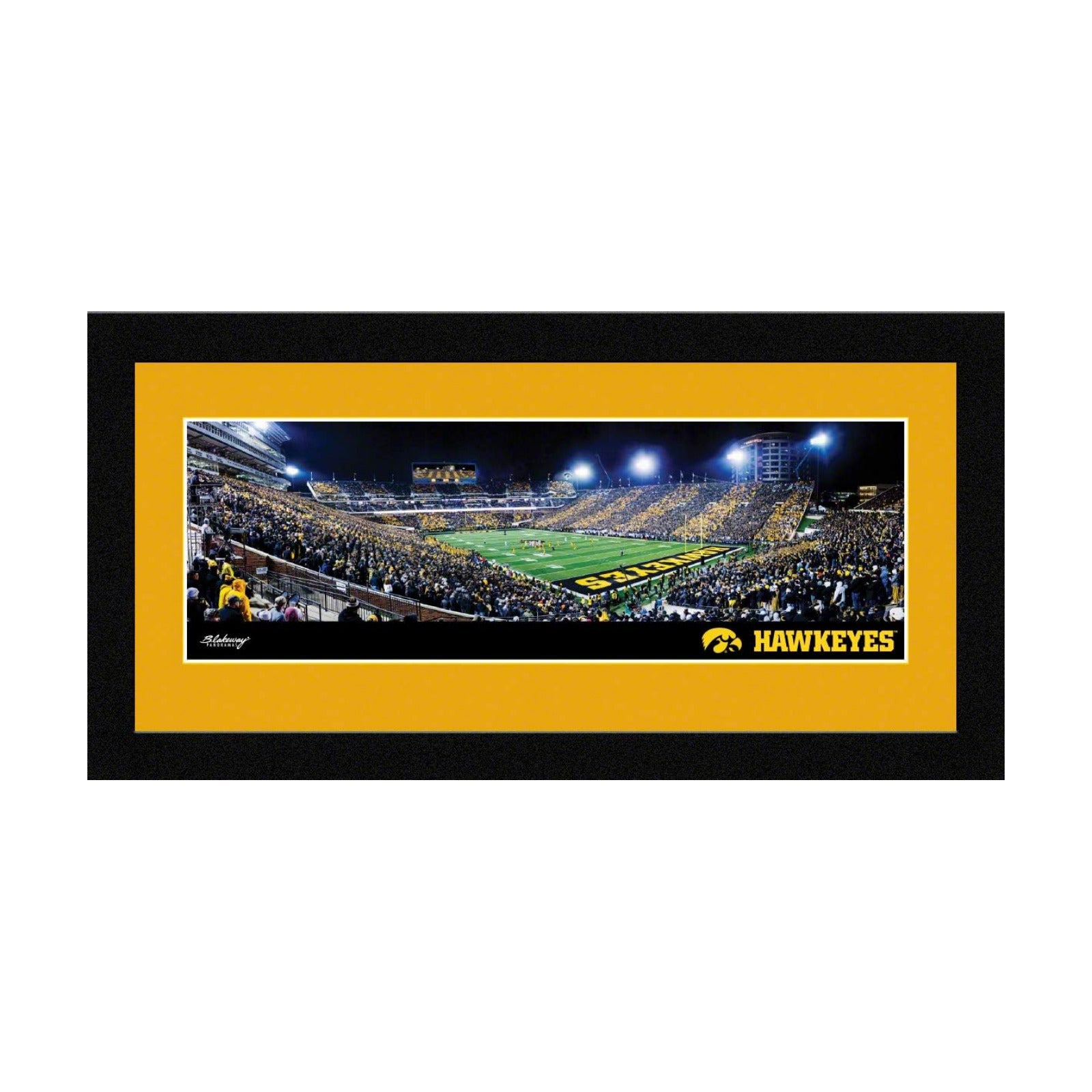 Framed Panoramic Picture / Yellow
