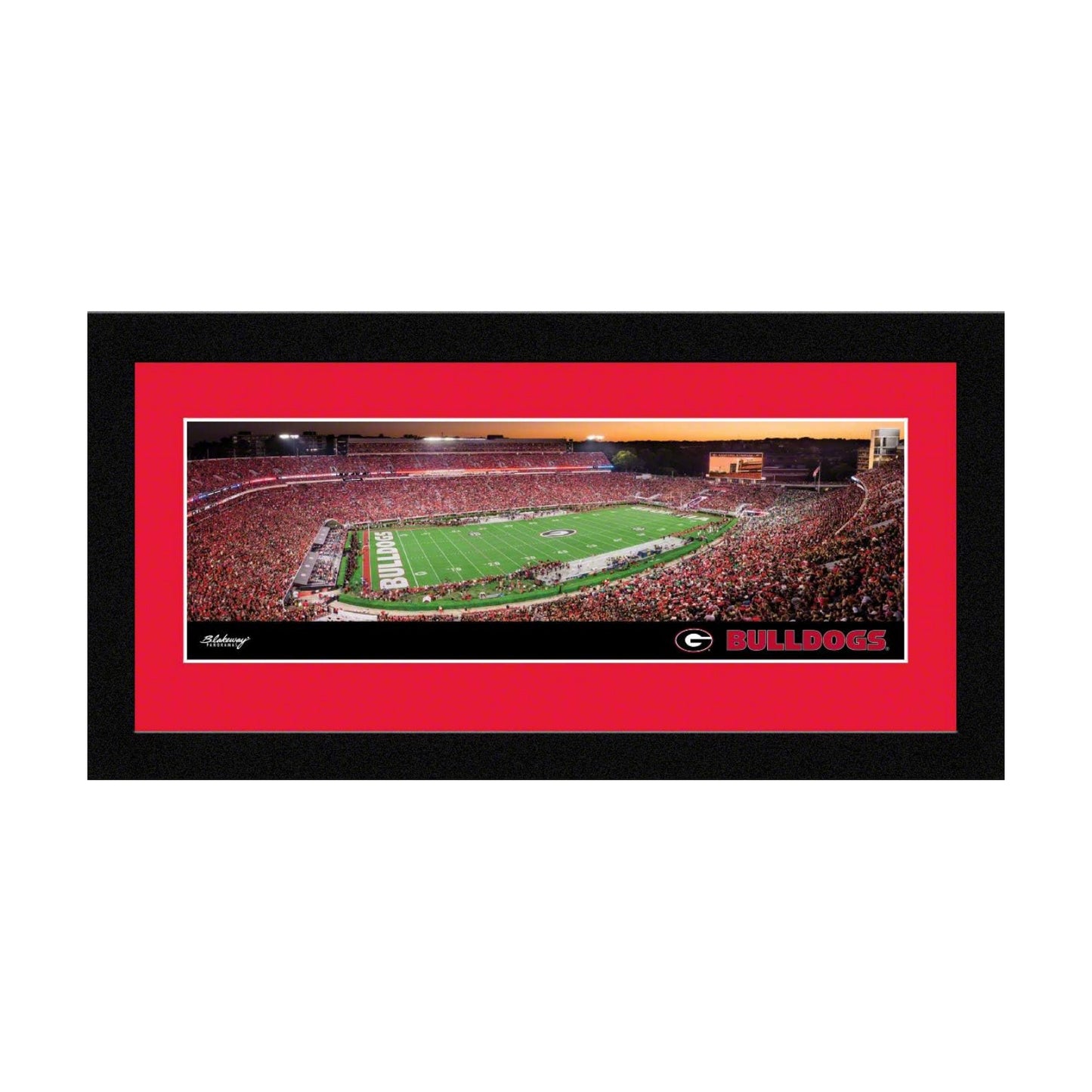 Framed Panoramic Picture / 8 x 8 / 16 5/ 1/8-inches