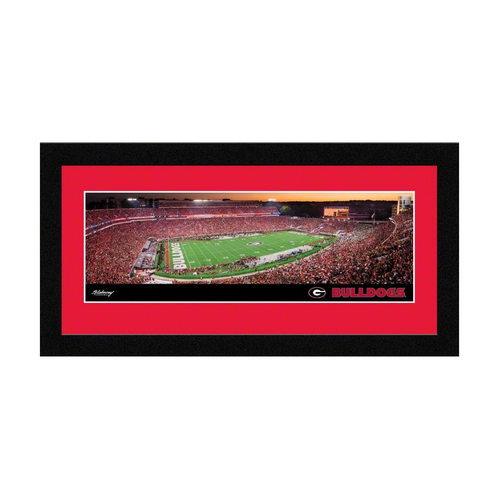 Framed Panoramic Picture / 8 x 8 / 16 5/ 1/8-inches