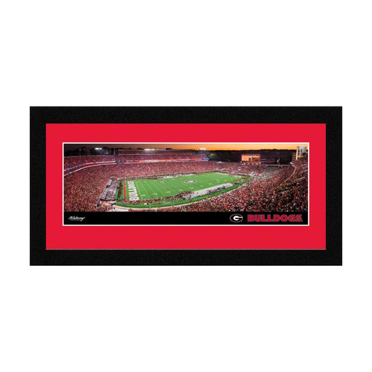 Framed Panoramic Picture / 8 x 8 / 16 5/ 1/8-inches