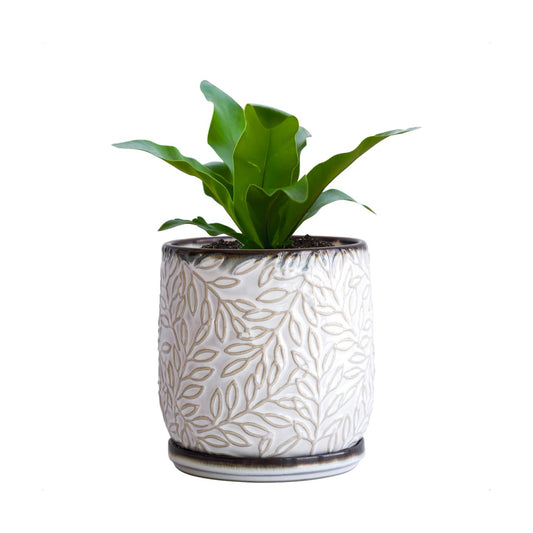 D'vine Dev Embossed Leaves Ceramic Planter, 5 in, Smoked White, 27-A-V-1