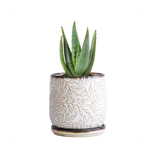 D'vine Dev Embossed Leaves Ceramic Planter, 4 in, Smoked White, 27-A-Z-1