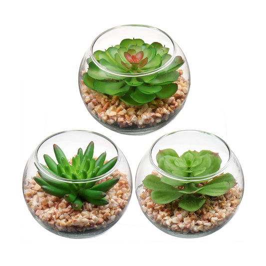 Mini Fake Plants 3 Packs Artificial Succulents Plants in Round Glass Vase / Succulents#07 / Set of 3