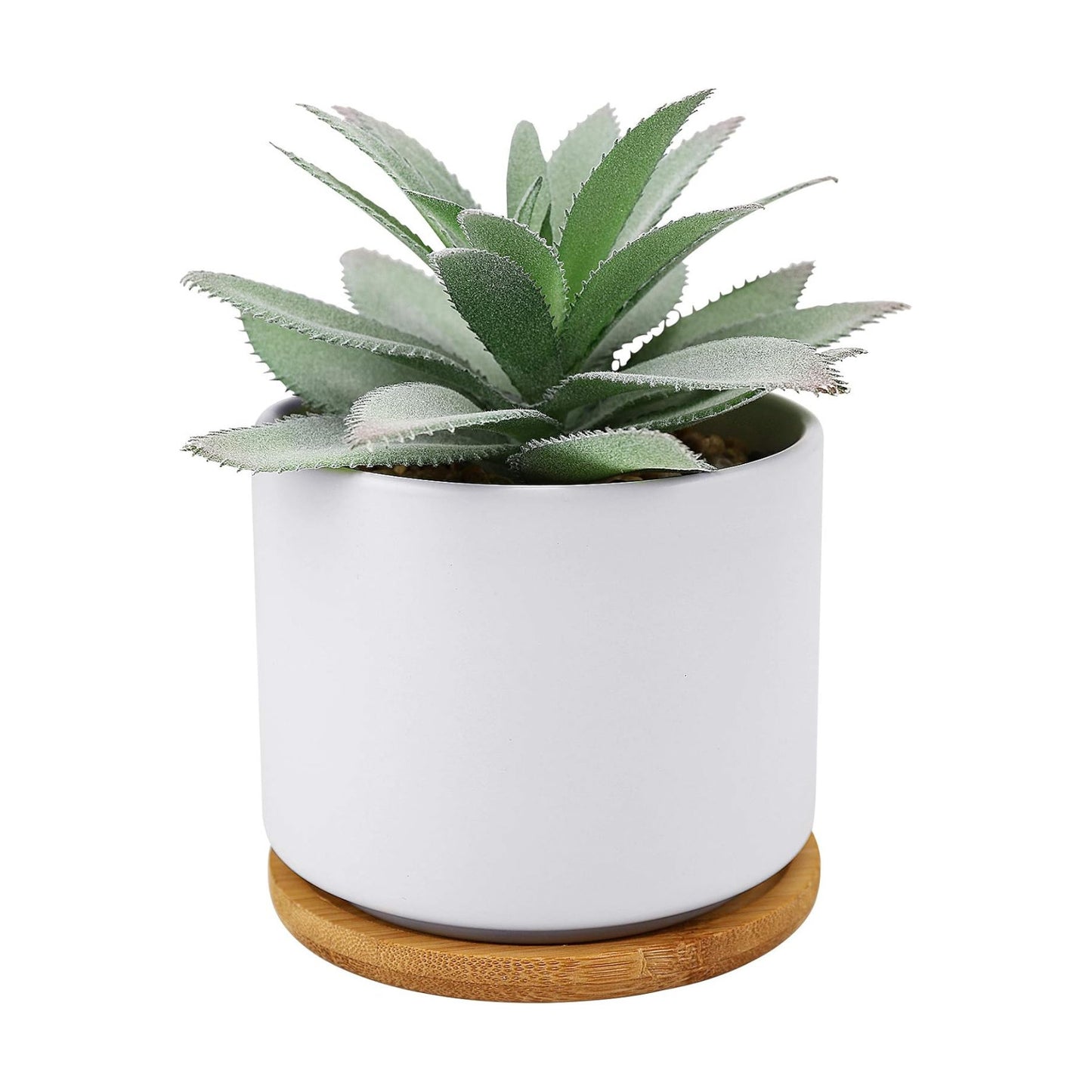 Succulent Plants Artificial / Agave 1 Piece