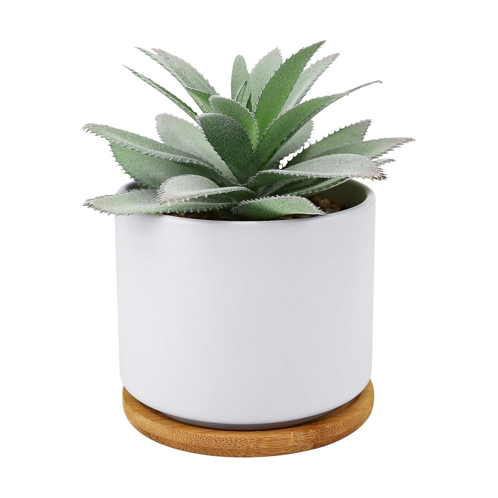 Succulent Plants Artificial / Agave 1 Piece