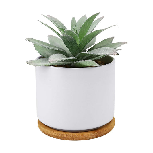 Succulent Plants Artificial / Agave 1 Piece