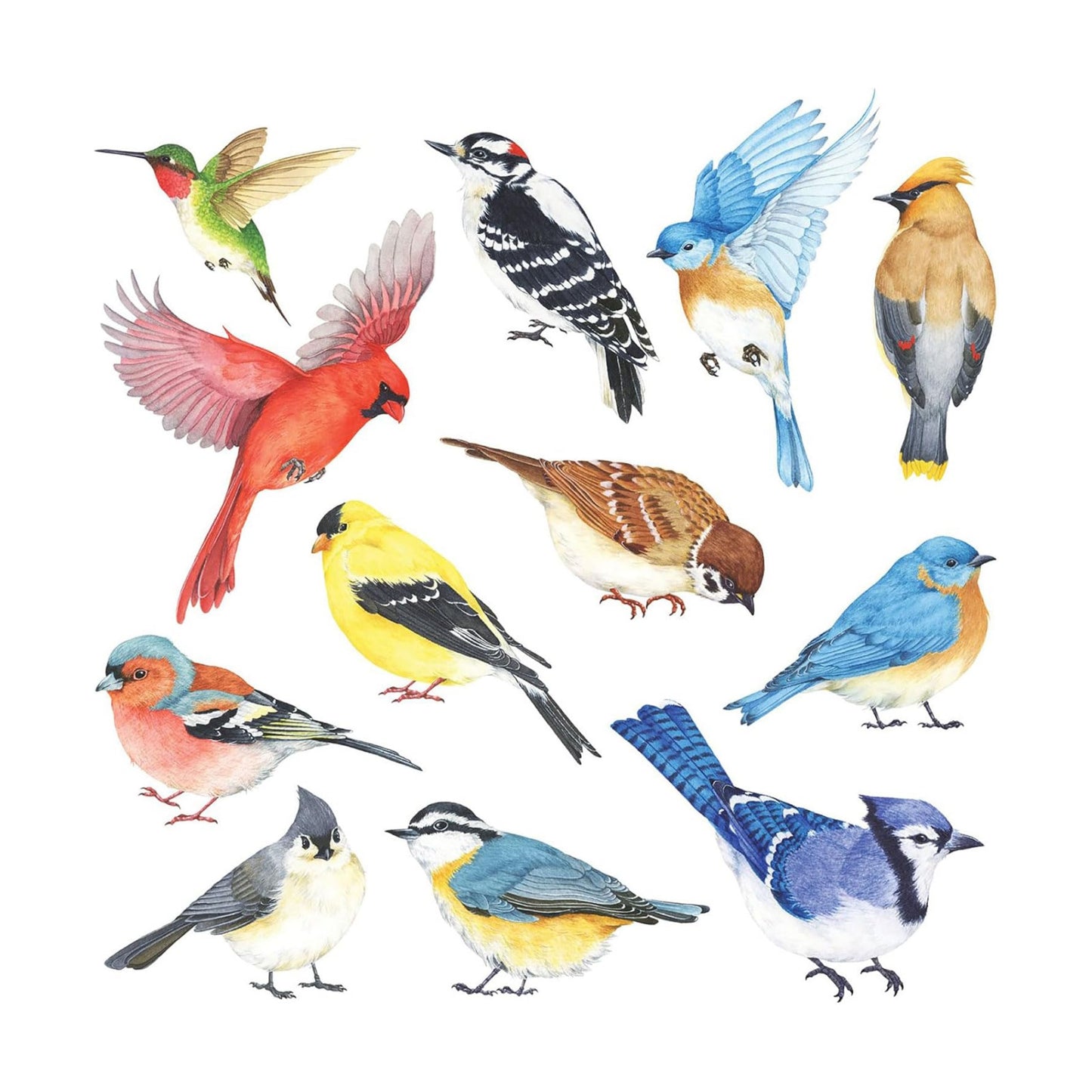 DS2-8042 Little Birds Wall Stickers Wall Decals Peel and Stick Removable Wall Stickers for Kids