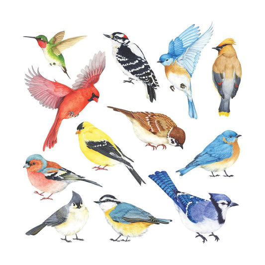 DS2-8042 Little Birds Wall Stickers Wall Decals Peel and Stick Removable Wall Stickers for Kids