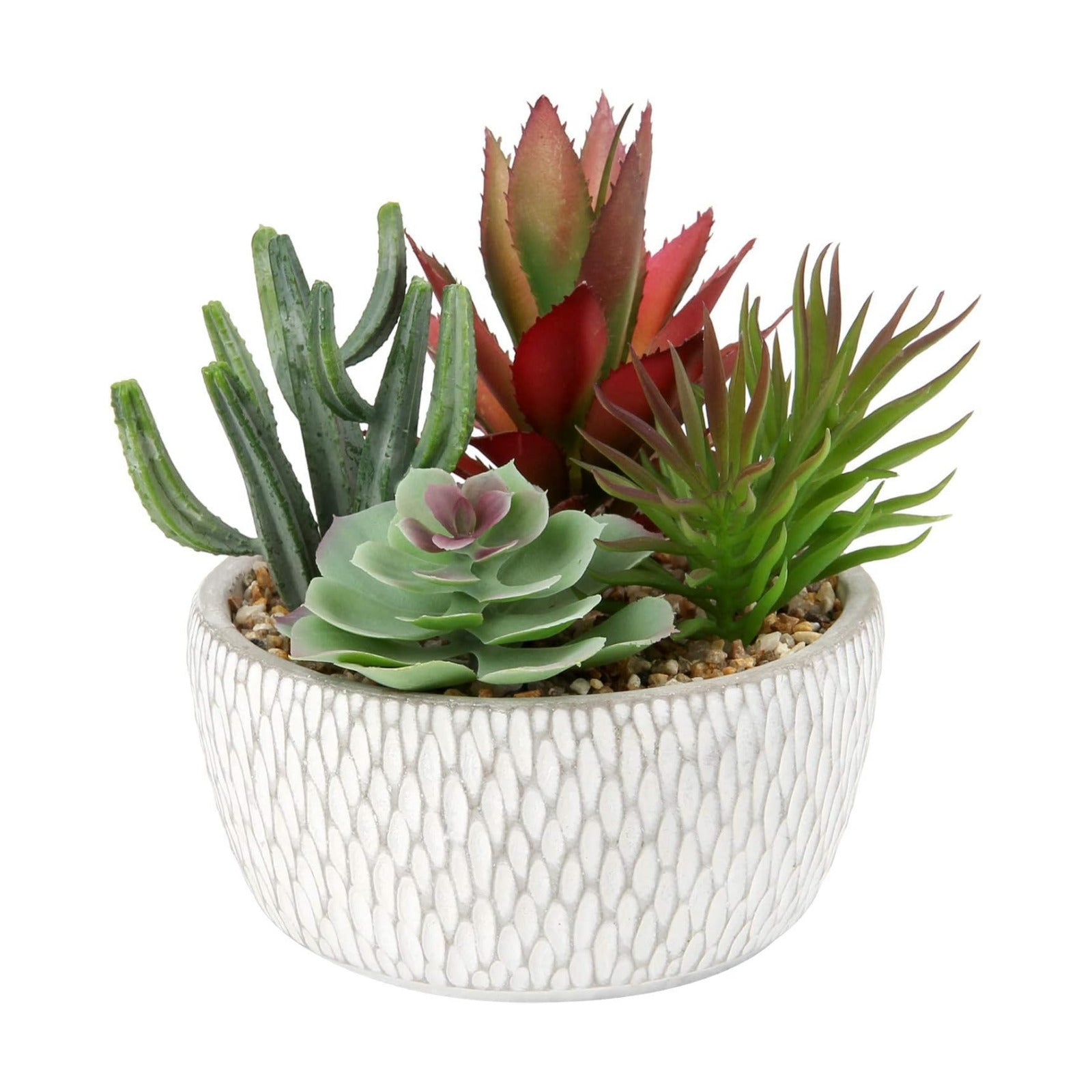 Small Fake Plants Assorted Faux Succulents in Pots Realistic Succulents Plants / Succulent #06