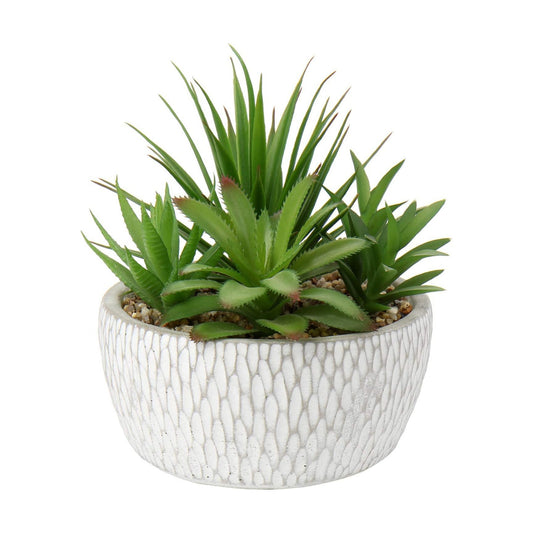 Small Fake Plants Assorted Faux Succulents in Pots Realistic Succulents Plants / Succulent #01